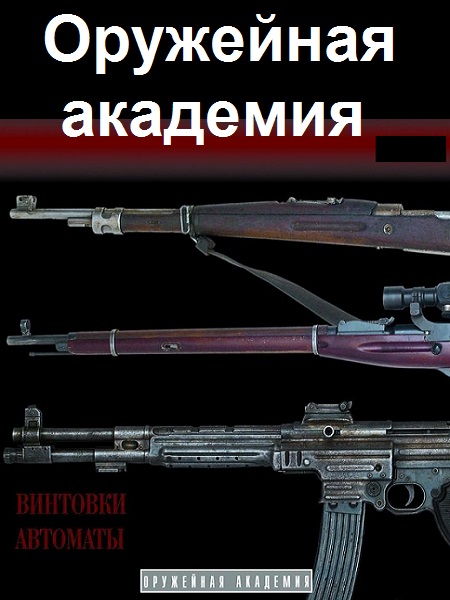 Серия - Оружейная академия